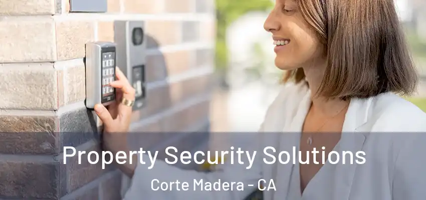 Property Security Solutions Corte Madera - CA